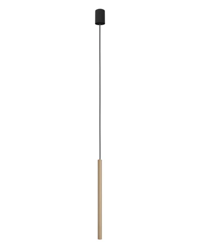 8798.jpg