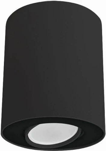 8900.jpg