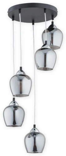 O2995 W5 CZA + CH.jpg