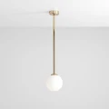 1-pinne-gold-m-male.jpg
