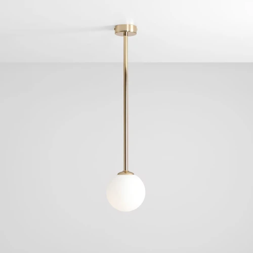 1-pinne-gold-m-male.jpg