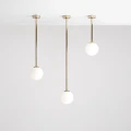 5-pinne-gold-L-a1-male.jpg
