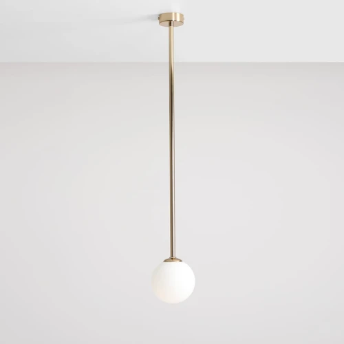 3-pinne-gold-L-male.jpg