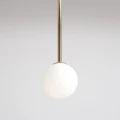 4-pinne-gold-L-male.jpg