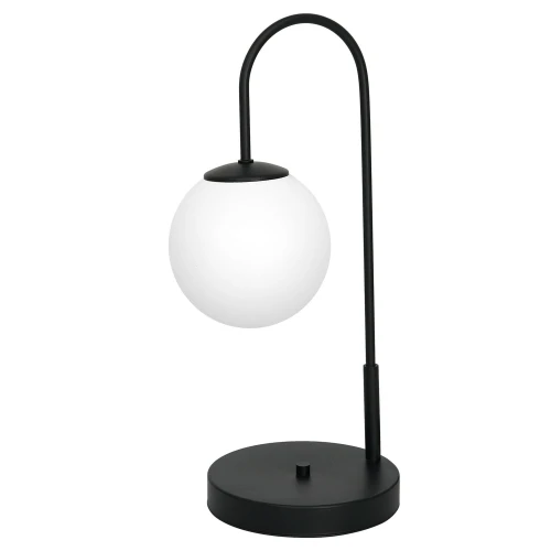 3197.jpg