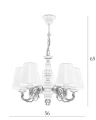 5-zloty-AB.jpg