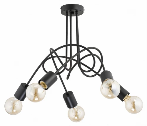 23175  na białym.jpg